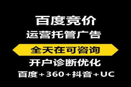 SEM公司案例分析：搜索引擎优化策略与执行